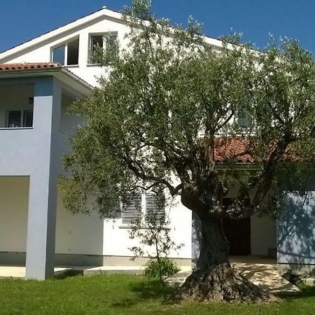 Apartments Villa Ulivo - Apartment Sol Fažana Dış mekan fotoğraf