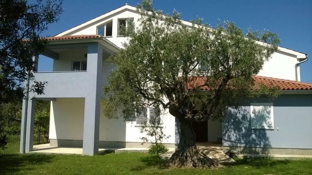 Apartments Villa Ulivo - Apartment Sol Fažana Dış mekan fotoğraf